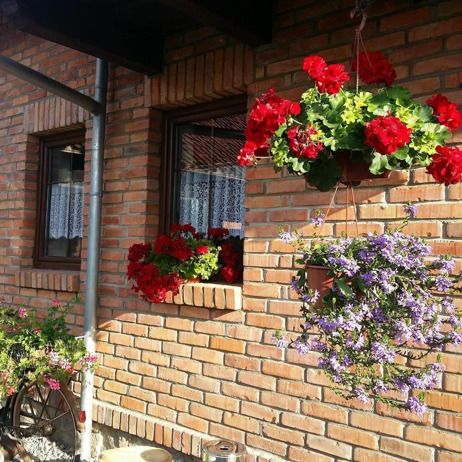 Gosciniec Galkowo Guest House Exterior photo